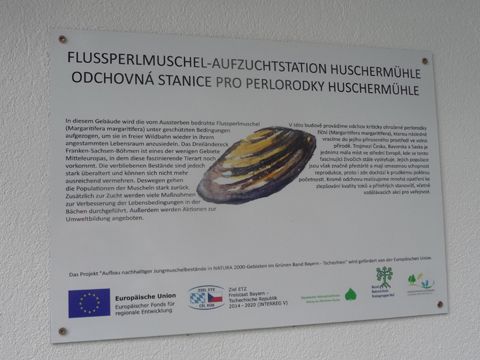 Foto 41